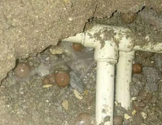 红岗卫生间测漏