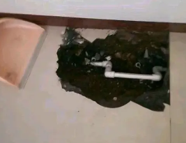 红岗卫生间测漏水多少钱